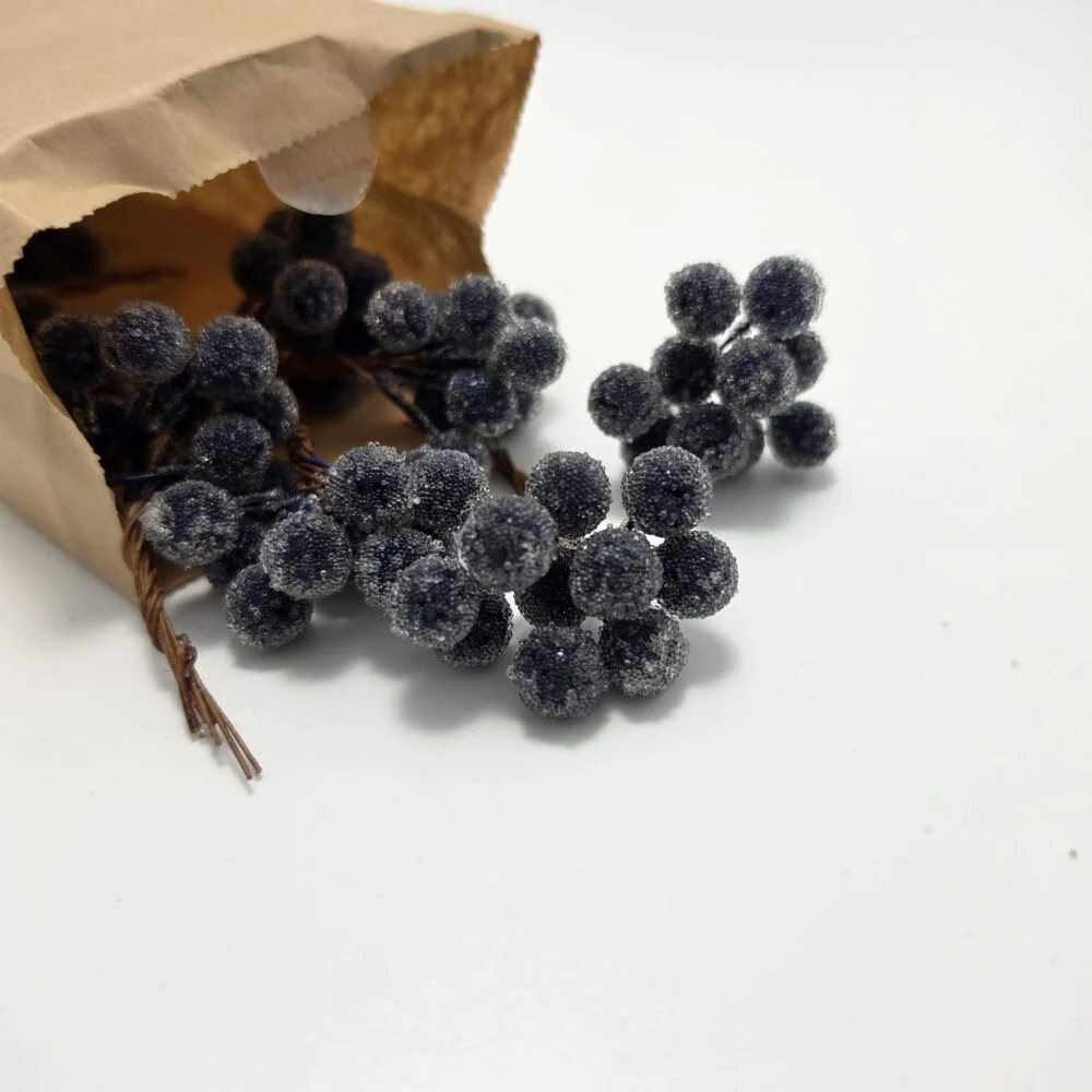 Myrtilles givrées